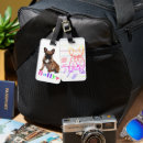 Recherche de bouledogue français bagages étiquettes Chiot