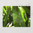 Recherche de leaver cartes postales Toute personne