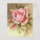 Recherche de rose victorien rose cartes postales Féminine