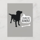 Recherche de funny dog cartes postales Drôle