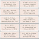 Recherche de taupes autocollants Moderne