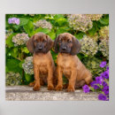 Recherche de fabrication de marionnettes art Mignon