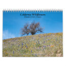 Zoek naar wildflowers kalenders Wildbloemen