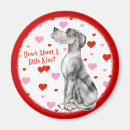 Recherche de merle magnets Dog