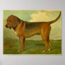 Recherche de sanglant art Chien