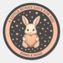 Zoek naar koolstof stickers Roze