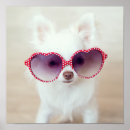 Recherche de chiwawas posters Chien