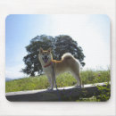Recherche de shiba inu tapis souris Animaux domestiques
