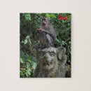 Zoek naar bali puzzels Indonesia