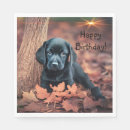 Zoek naar zwarte labrador servetten Dieren