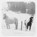 Recherche de amants de cheval autocollants Chevaux