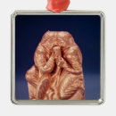 Recherche de bouclier ornements Emblème