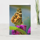 Recherche de peinture de papillon vœux cartes Nature
