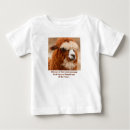 Recherche de lama bébé vêtements Animal