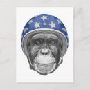 Recherche de motocyclistes cartes postales Animal