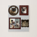 Recherche de siamois puzzles Chat