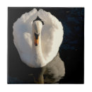 Recherche de cygnes carreaux Peinture