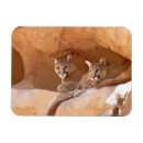 Recherche de de lion magnets Pour tous