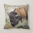 Recherche de bête coussins Animal