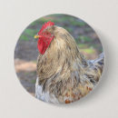 Zoek naar kip buttons Land
