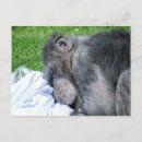 Recherche de humour anglais cartes postales Angleterre