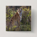 Recherche de tigre de bengale badges Nature