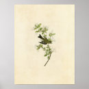 Recherche de écorce posters Illustration
