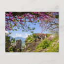 Recherche de fleurs de cerisier cartes postales Paysage