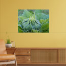 Zoek naar natte posters Foto