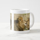Recherche de masai mara tasses Panthera leo