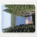 Recherche de grand arbre tapis souris Forêt