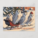 Zoek naar sneeuwuilen briefkaarten Schattig