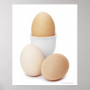 Zoek naar wit ei posters Eicel