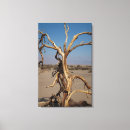 Zoek naar onkruid kunst Natuur