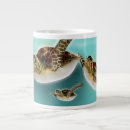 Recherche de tortues tasses Animal marin