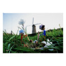 Zoek naar krokus posters Crocus