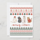 Recherche de chat laid cartes invitations Vacances
