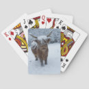 Recherche de bovin jeux de cartes Animal de ferme