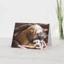 Recherche de mastiff vœux cartes Vous