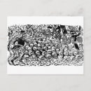 Recherche de dia los muertos cartes postales Mexique