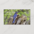 Recherche de oriental cartes visite Nature