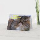 Recherche de résolutions vœux cartes Humour