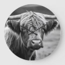Recherche de vache horloges Maison
