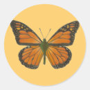 Recherche de papillon orange autocollants Insectes