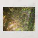 Recherche de subtil cartes postales Abstrait