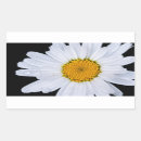 Recherche de pétales de marguerite autocollants Été