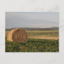 Recherche de moisson cartes postales Agriculture