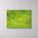 Zoek naar wilde bloemen fotografie Floreel