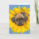 Recherche de chiens carlin vœux cartes Puggle