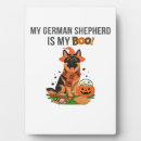 Recherche de chien de berger allemand plaques Pug